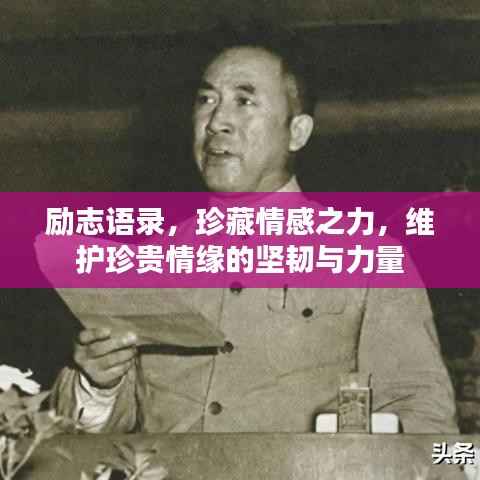 励志语录,珍藏情感之力,维护珍贵情缘的坚韧与力量