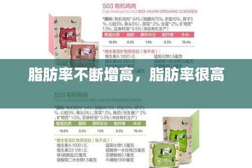 脂肪率不断增高,脂肪率很高