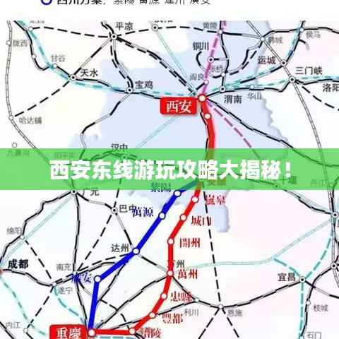 东张西望 第2页