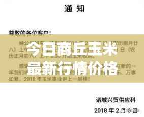 今日商丘玉米最新行情价格通知